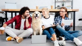 young business colleagues using digital devices and looking at dog in office