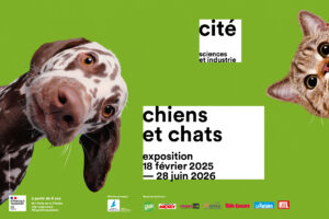 Affiche exposition chiens et chats 2025