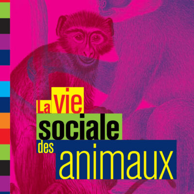 La vie sociale des animaux