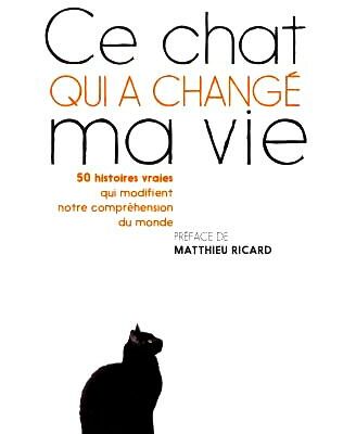 Ce chat qui