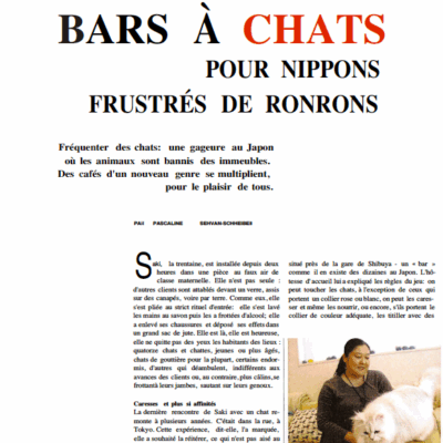 Bar à chats