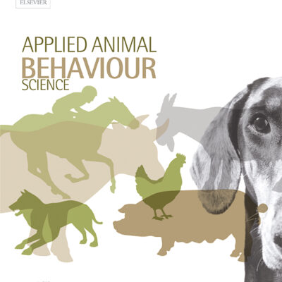 A review of human-horse relatisonship
