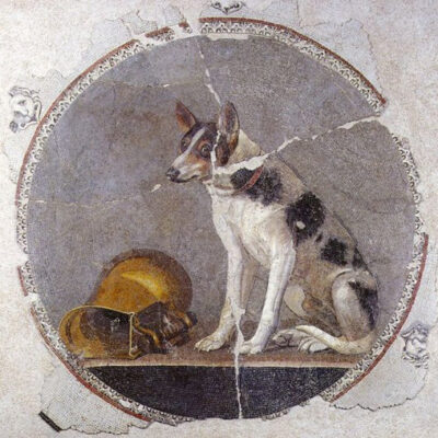 Le chien, dix mille ans d'affection